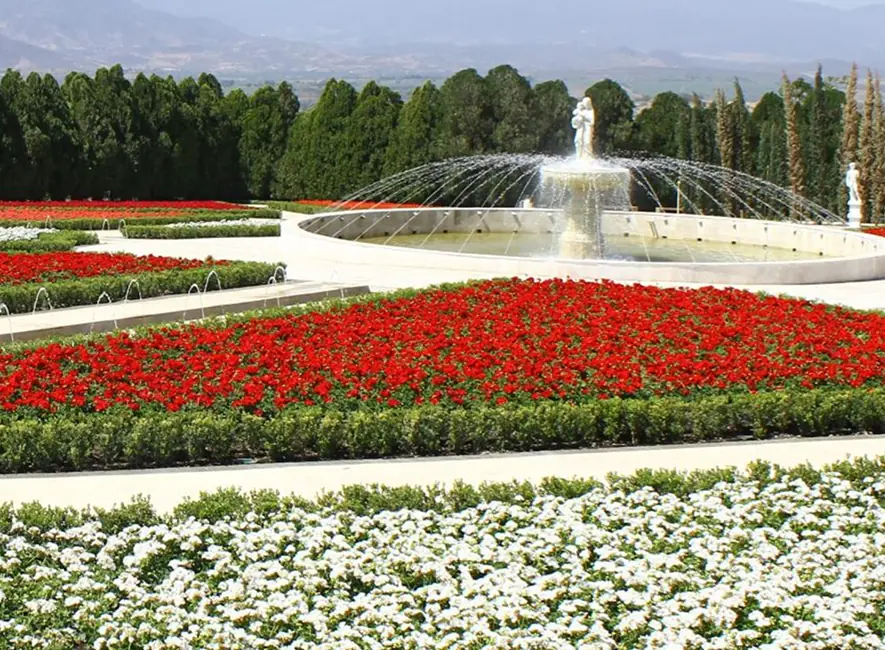 Jardines de México: Un paraíso botánico en plena floración.