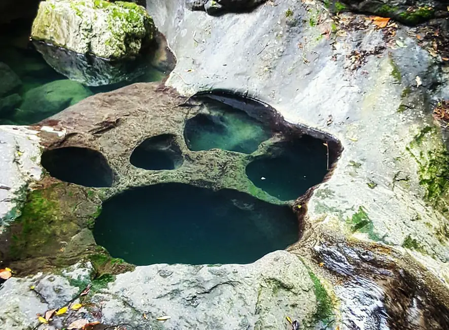 Poza Pata de Perro: Oasis natural en medio de la selva.