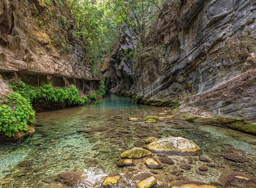 Explorando la Naturaleza en su Máxima Expresión.
